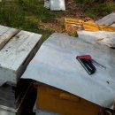 유밀농장 이미지