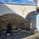 금빛 반달고개 이미지