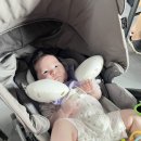 석모도 좋은아침 | [육아일상] 생후 118일 아기 유모차나들이 석모도여행 송도 리빌트 송도 롯데마트 수유실