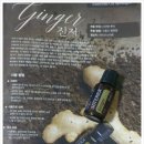 고림 에너지 이미지