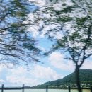 소화밥상(보성시니어클럽) | 국내 골프투어 전남 보성cc 가을 골프 여행 전라도 밥상 전반 9홀 라운딩 행복했던 날