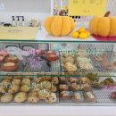 스테이엘 이미지