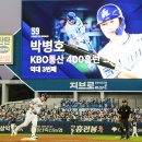 늦게 피는 꽃 이미지