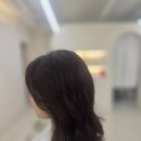 안나미용실 | 대전 관저동 미용실은 여기! by안나헤어에서 만난 완벽 중단발 빌드펌 후기
