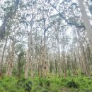 (주)나무재 이미지