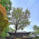 길상사입구 이미지