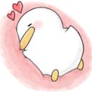 글램아이웨어 이미지