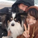 구이구이쪽갈비 수지동천점