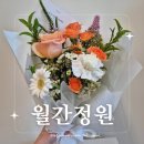 [원주일상] 반곡동 가성비 좋은 원주혁신도시 꽃집 추천, 월간정원