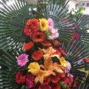 천우화원 이미지