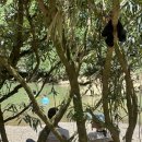 우정종합정비 | 퐁냐케방 oxalis TN2 2박 3일 동굴투어 후기 - 2 (꿀팁 포함)