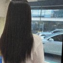 뮤토룸 | 강남 뮤토룸 붙임머리 후기