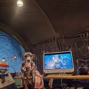 플레이독스 | [체험단후기] 반려견 전용 스마트 펫 TV, 독스플레이 TV