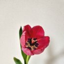최상위수학 이미지