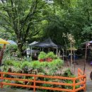 드리밍하우스 이미지