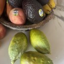 (주)터닝포인트짐 (소하점) | 7월 셋째주 일기