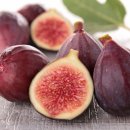 오토스레스토랑 이미지