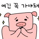 한방로또판매점 이미지