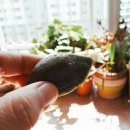 정성농산 이미지