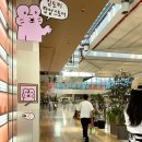 김토끼 | 지난 팝업스토어 1_ 더현대 김토끼 스튜됴 팝업 후기 ft.최고심 마시마로