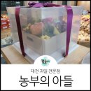 농부의 아들 | 대전 과일가게 &lt;농부의아들 대전본점&gt; 대전 과일바구니 명절선물로 제격