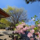 적벽강가든 이미지