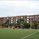 수내중학교 이미지