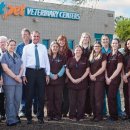 멍멍이가족 이미지