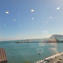 회랑장어랑 이미지