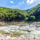 왕피천 숲속 캠핑장 이미지