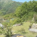 리틀 아쉬람 이미지