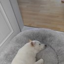 은비세탁 이미지