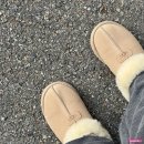 (주)모인 | 비혼페어 후기 / 아케인 배포전 / 스타레일 필오프가 한곳에 모인 취미 일상