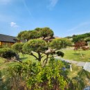 양평강하공인중개사사무소 이미지