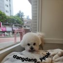 연두미용실 이미지