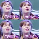 뚱시 이미지