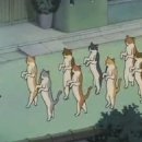 캣플헤븐 이미지