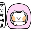 마이봄네일 이미지