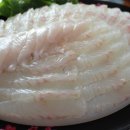 썰어활어회구이 이미지