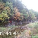 링온 네이버블로그