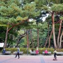 신호솔밭공원 이미지