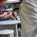 메시나 | 시드니 젤라또메시나 메시나젤라또 내돈내산 후기 시드니 여행 젤라또맛집