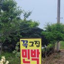 꼭그집 이미지