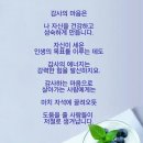 모란동백갤러리 이미지