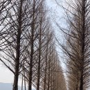 팔덕면사무소 이미지