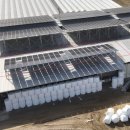 햇빛잘받는 태양광발전소 이미지