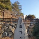 산책 | 금산 월영산출렁다리 소요시간 풍경 산책 후기