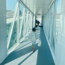 686 | 남방항공 CZ686 CZ695 탑승후기