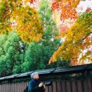 가을 산책 - Brooklyn Botanic Garden 이미지