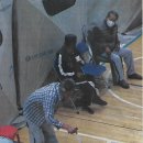 의성(영덕) 이미지